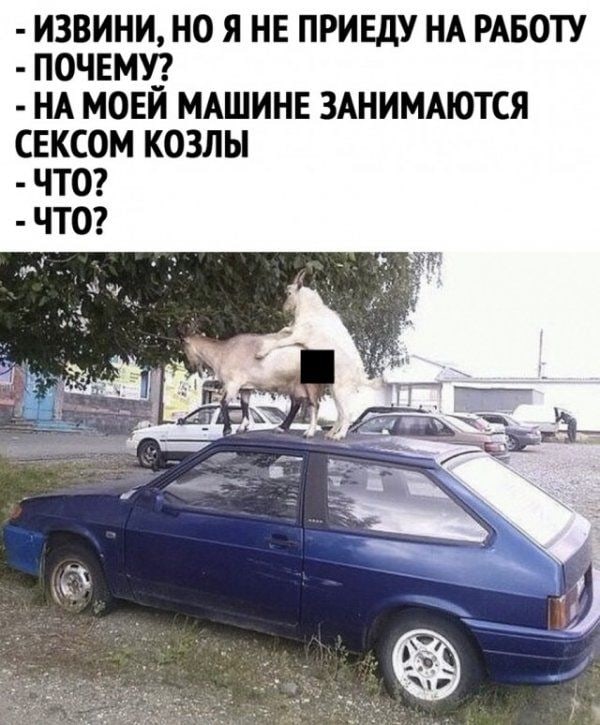 Кретинизмы из сети Night Edition 9.02.21