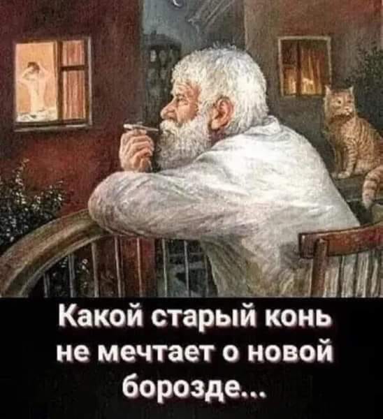 Наши любимки такие смешные