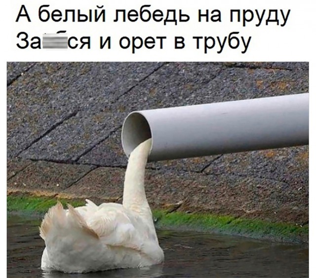 А что это за волшебная труба?