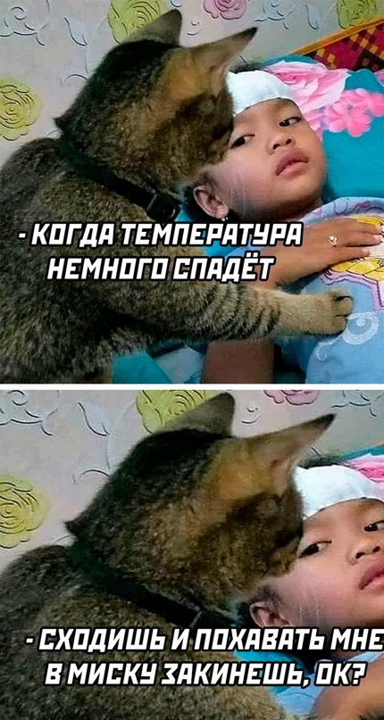 Весёлый полтишок 28.07.22
