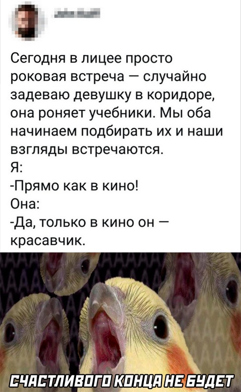 Весёлый полтишок 16.09.22