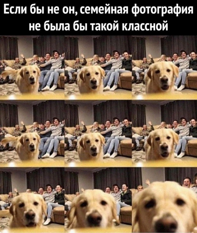 Картинки и мемы. Выходные близко...