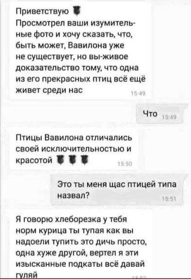 Пятница. И немного слегка пошлых картинок с надписями и без 16+ (16.12)