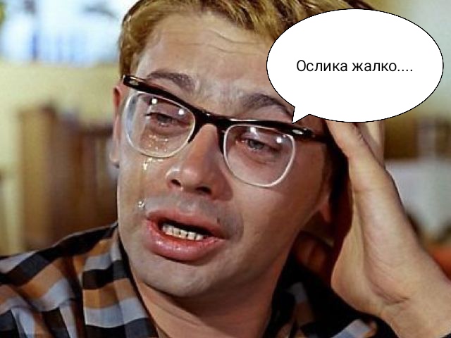 Ничего и никогда не меняется. Прошивка у них неизменна. Семейная драма