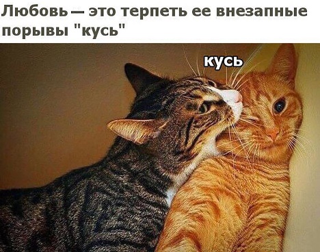 «Встречался сразу с двумя за день»: истории женщин, которые примирились с изменами мужа, — почему такое вообще происходит