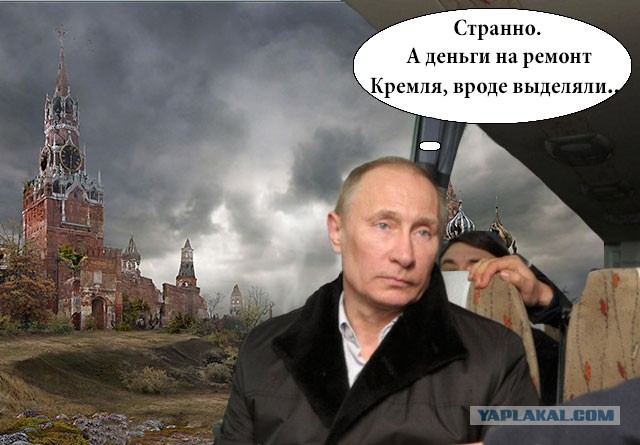 Грустный какойто, на лиса  похож