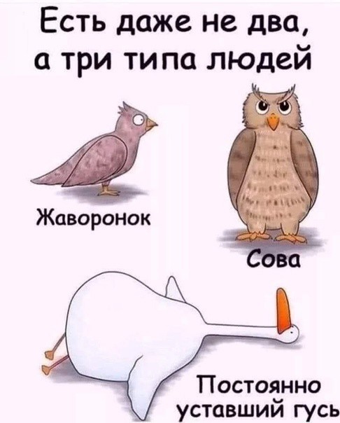 Баяны разной степени давности.