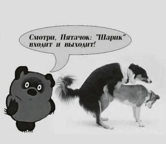 10 картинок