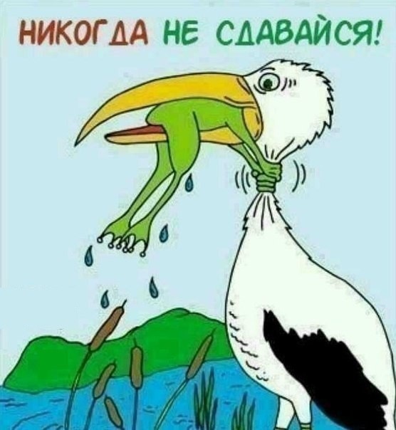 Десять пятничных картинок