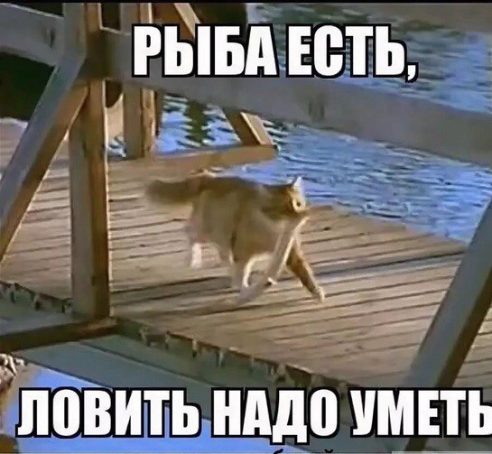 Не клюёт чота...