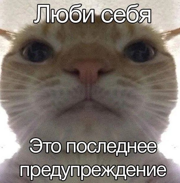Дурдом - Бояны