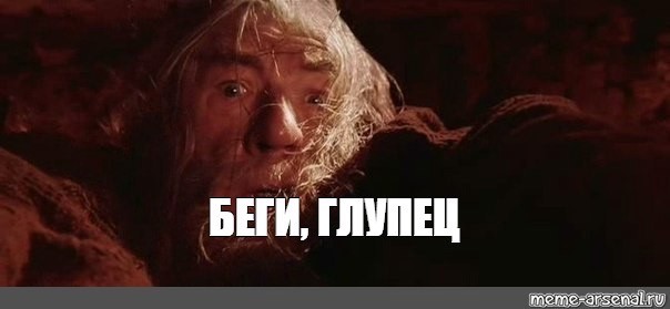 Гоните их как увидите: Почему появление ежа на участке это тревожный сигнал для хозяев?