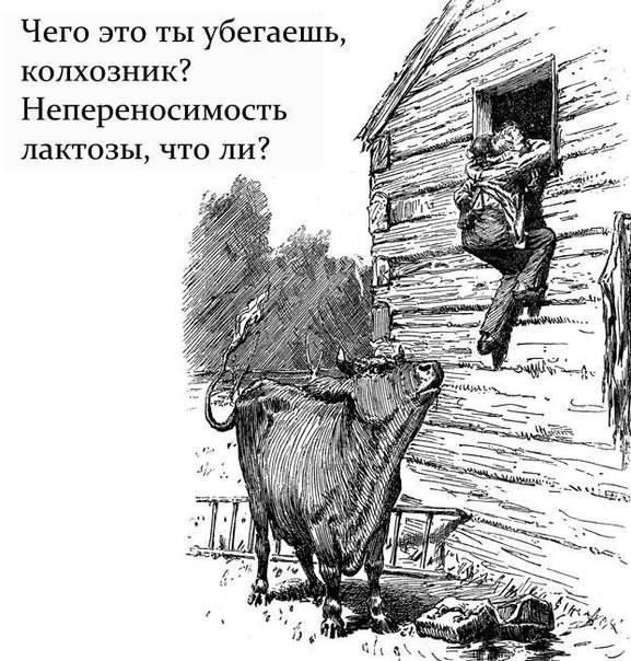 Завалялось тут случайно немного забавных картинок