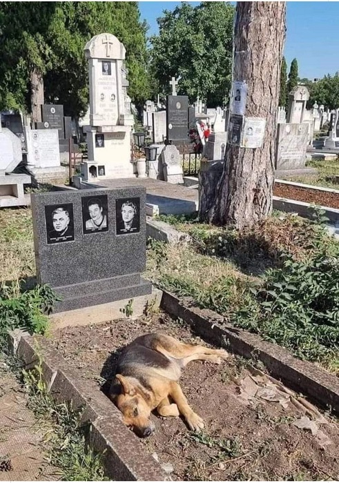 Смешал, но не взбалтывал: 16.06.24.