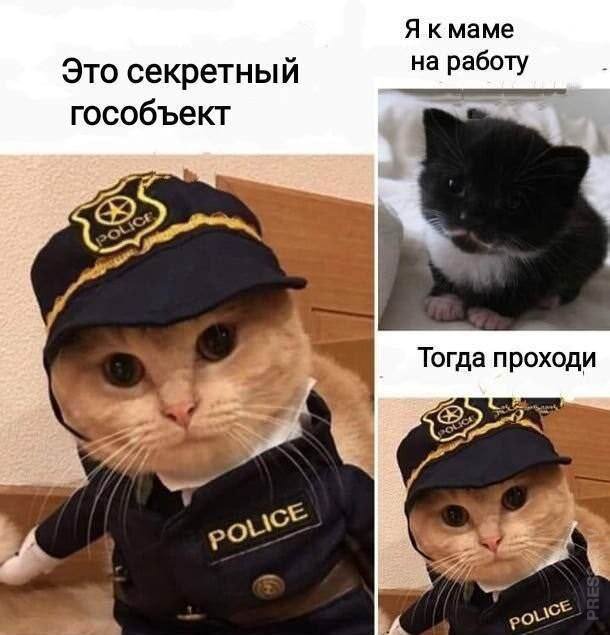 Так себе картинки 07.07.24