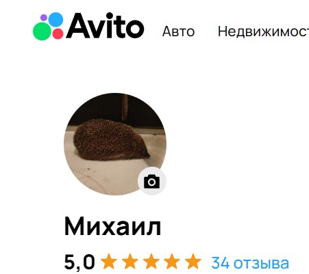 Про поиск мастеров и "Авито"