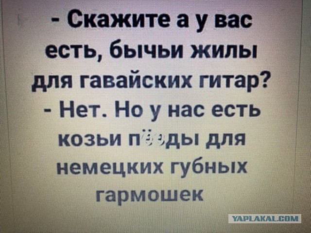 Деградируем и подпеваем - v. 2,0