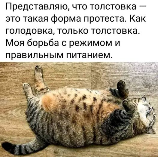 Веселые картинки в понедельник (11.11)