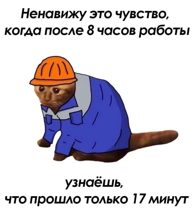 К котовторнику: подборка картинок-баянов с котиками и про котиков. Выпуск 2.