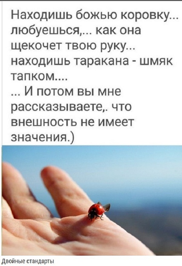 Веселые картинки в маленькую пятницу (12.03)