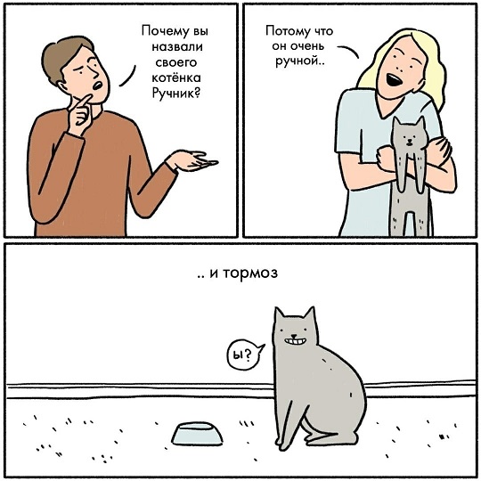 Сегодня четверг
