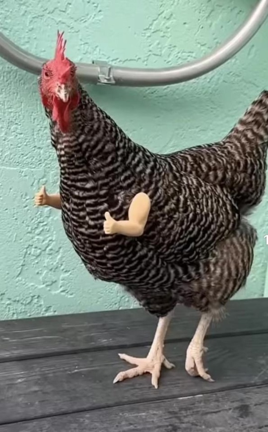 НеФормат