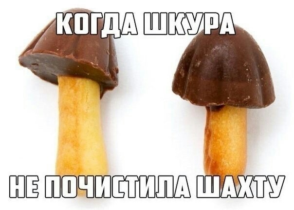 Ударим дичью по бездорожью и разгильдяйству