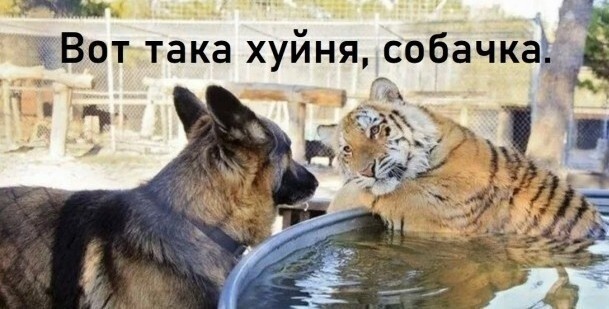 Измена жены ради повышения: начальник обманул, карьеры нет