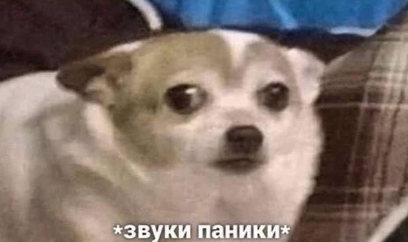 Суд в Петербурге назначил 12.5 лет колонии Марине Кохал, убившей своего мужа Энди Картрайта (Александра Юшко)
