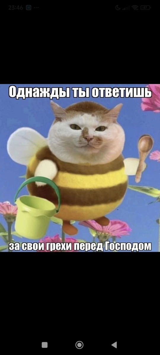 Лифтосексуал