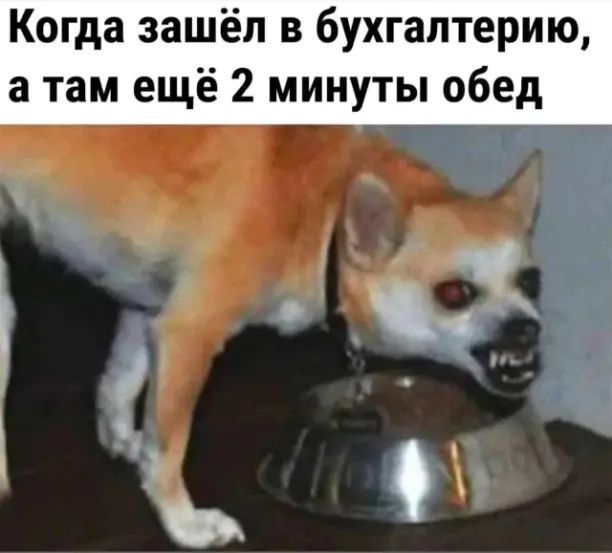 Немного картинок на ночь