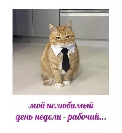 Пакет брать будете?