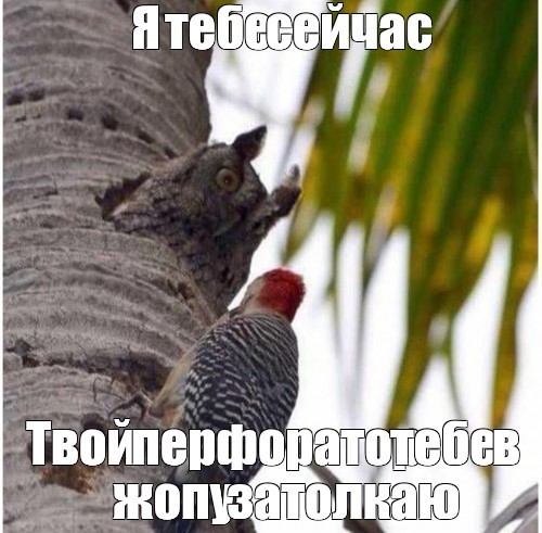 Опытные работники в автосервисе
