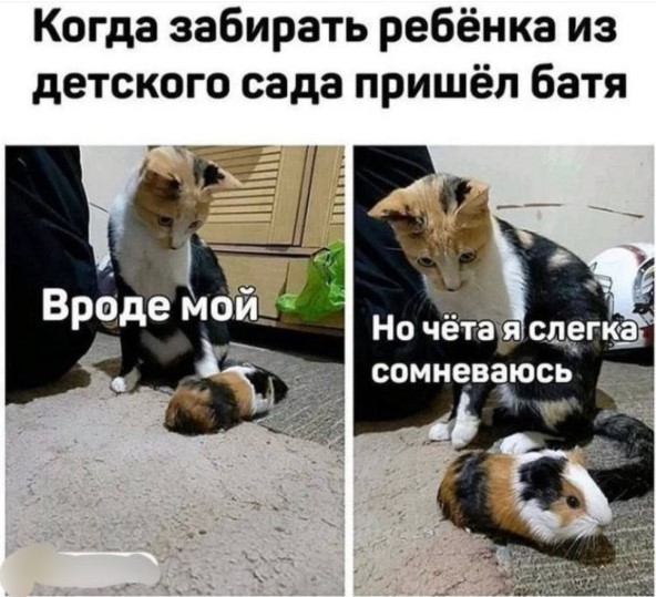 Картиночки, баянчики 01 августа