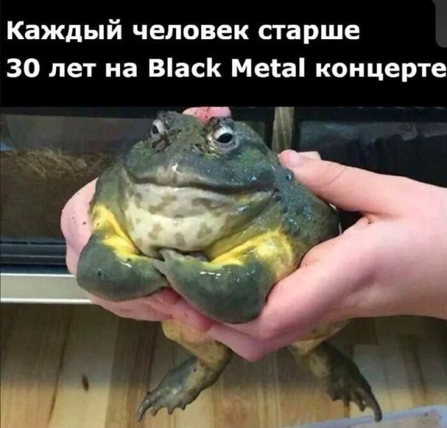 Картинки для деградации 251 (разной степени свежести)