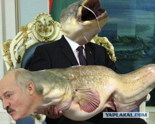 Путин и рыба