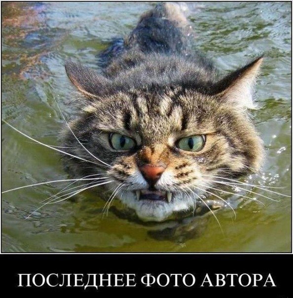 Мокрые киски