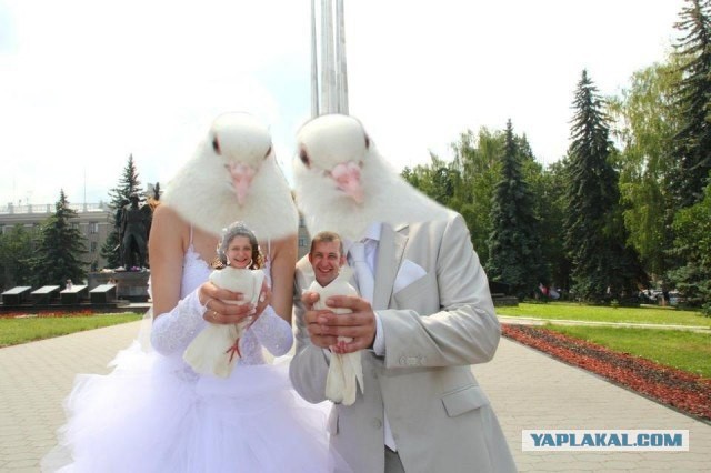 Великие творения свадебных фотографов.