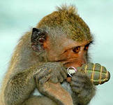 США ответило на просьбу Порошенко