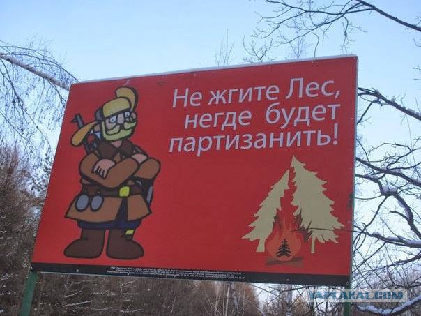 ...и у них все в порядке!