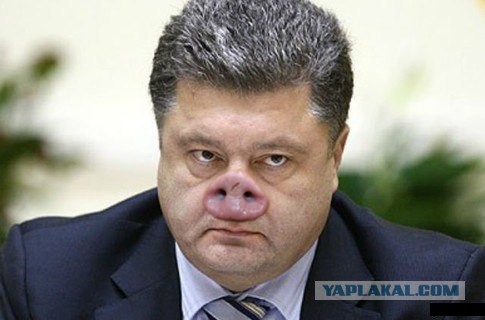 Израильский профессор: Порошенко вопит, как