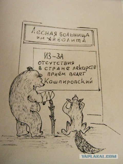 Карикатуры!