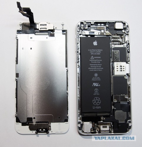 iPhone 6: разбираем в Москве, оцениваем