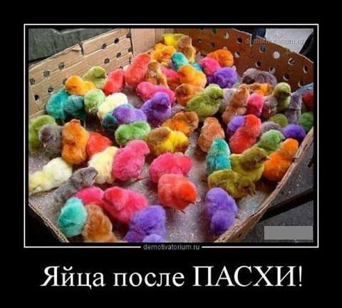 Свежие картинки из сети