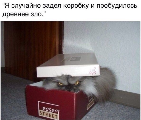 Смешные картинки