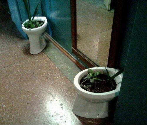 Весёлые картинки