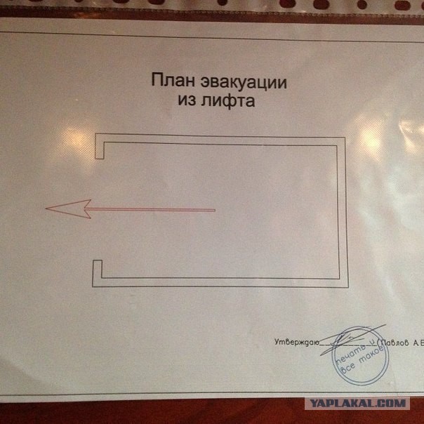 Забавные картинки из интернетов
