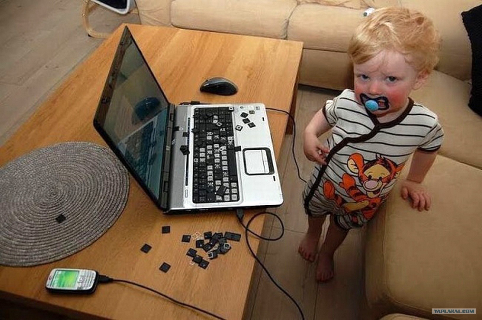 Прикол детского дома. Компьютер для детей. Смешной ноутбук. Маленький ребенок за компьютером. Маленький компьютер для детей.