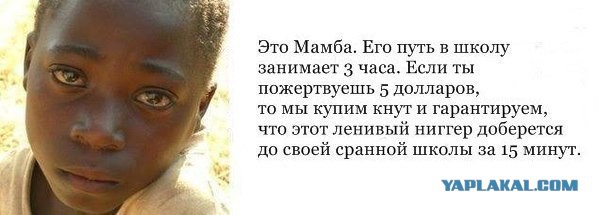 Минутка жутчайшей нетолерантности