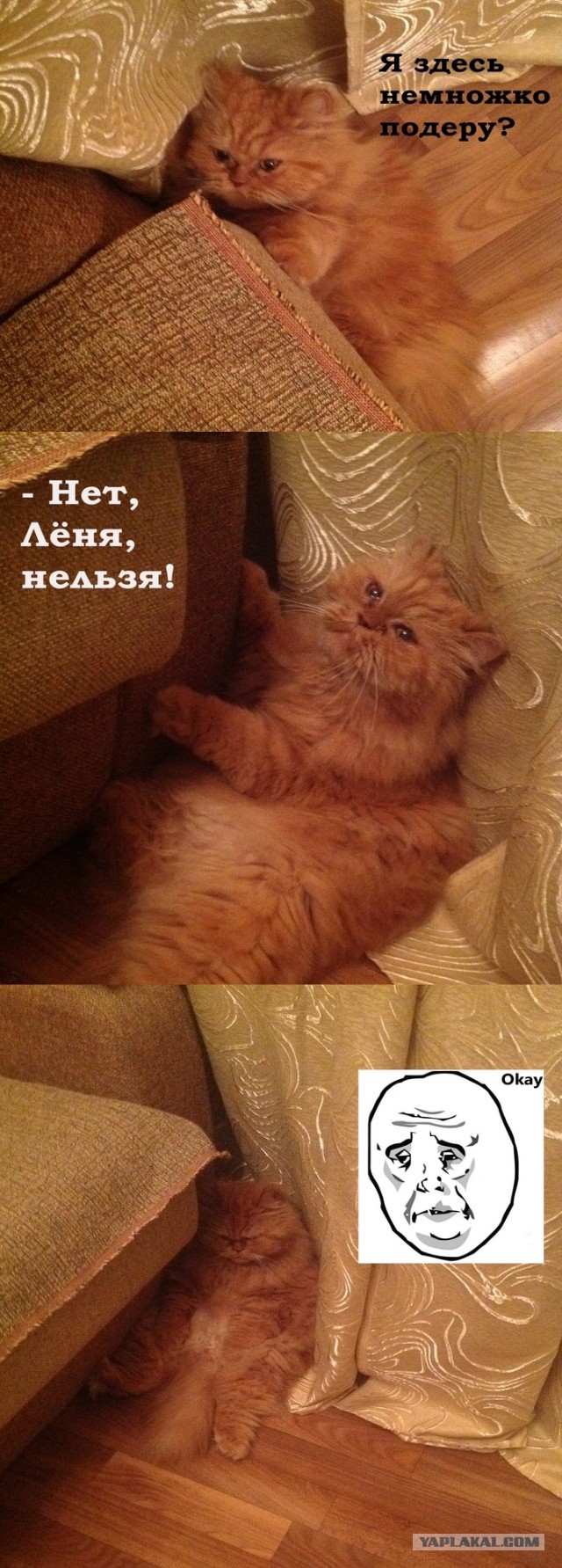 Тлен